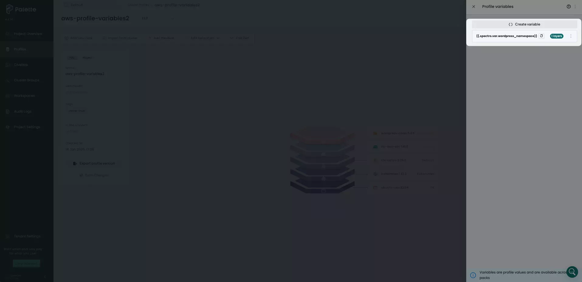 Image that shows variables in use and warning that profile version in use
